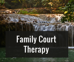 Sue Mayo MFT Family Court Therapy
